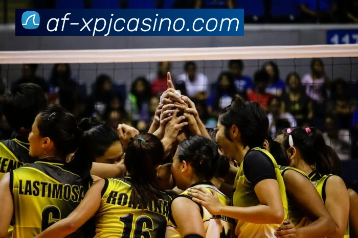 澳门新葡京娱乐APP 体育赛事宣传图